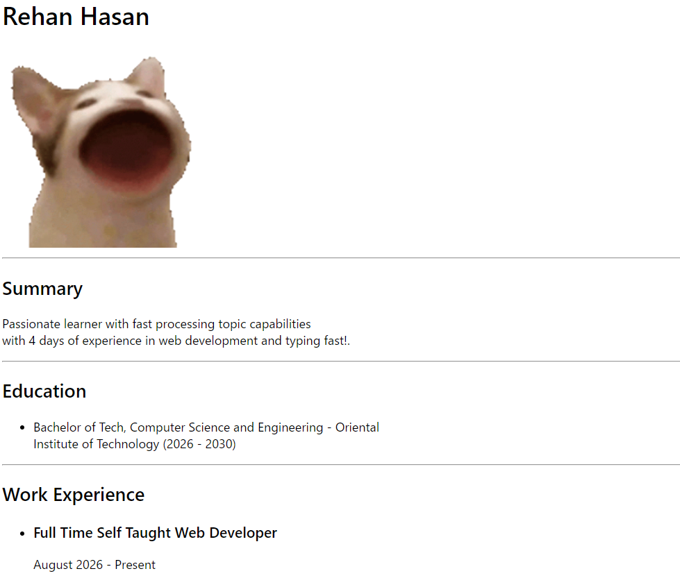 Image of resume project created by capstone